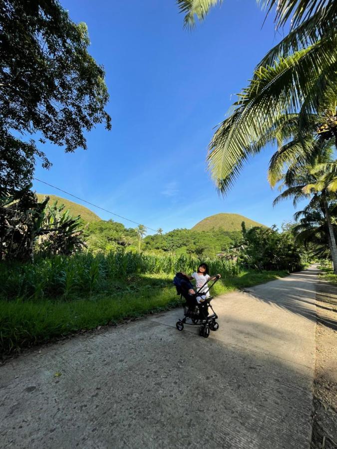 Bed and Breakfast Casa Aguelo Chocolate Hills Carmen  Zewnętrze zdjęcie