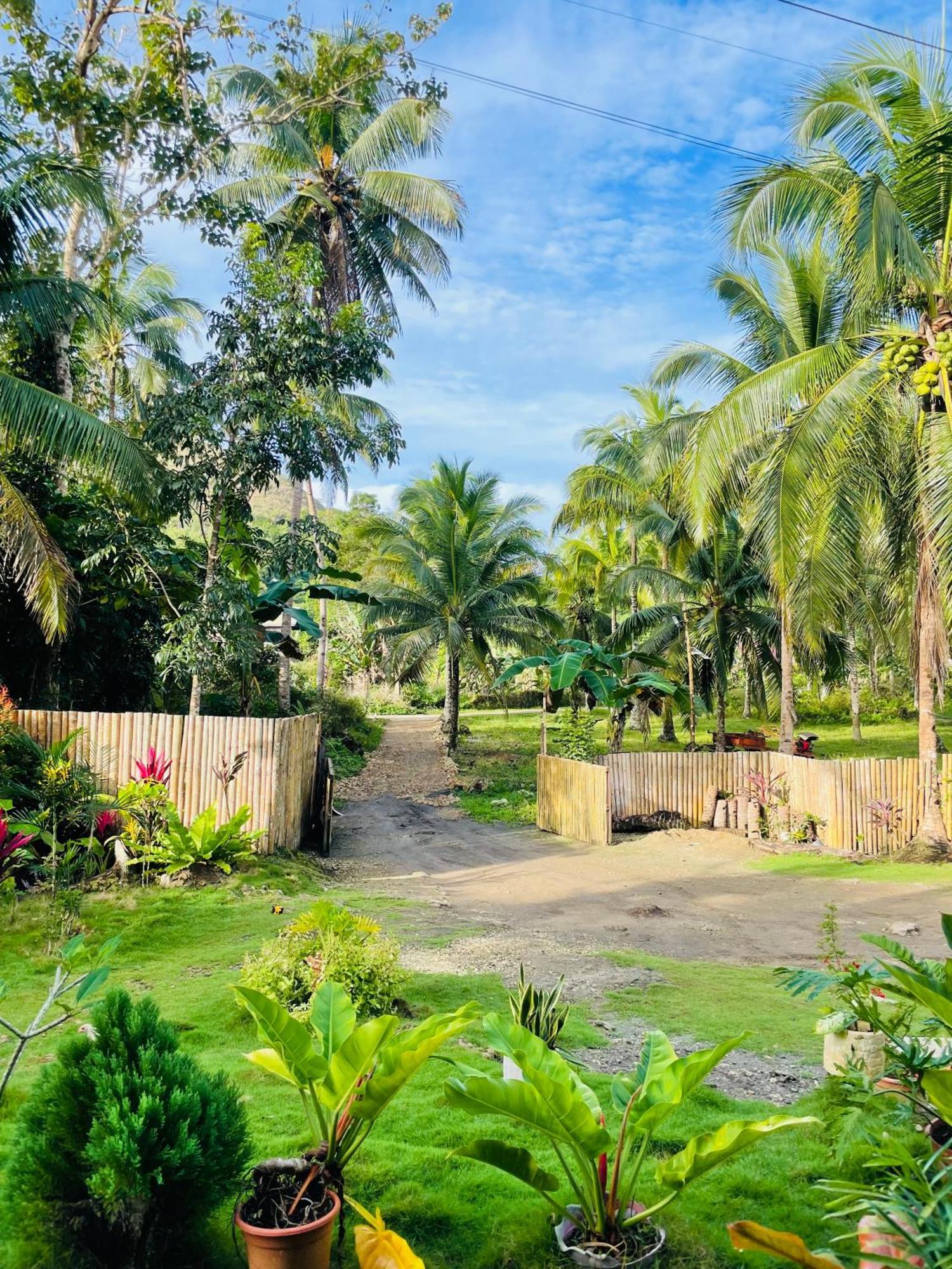 Bed and Breakfast Casa Aguelo Chocolate Hills Carmen  Zewnętrze zdjęcie