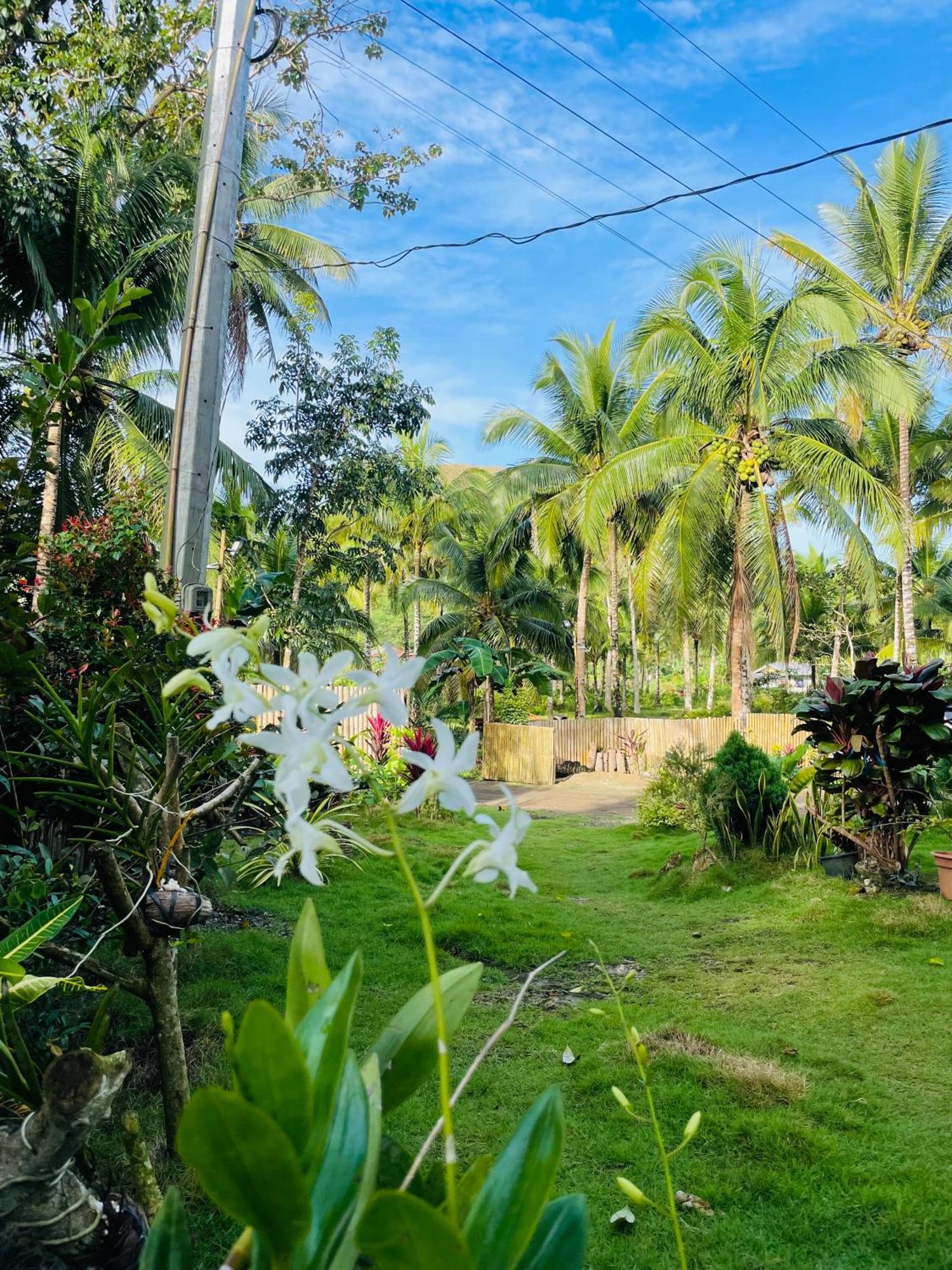 Bed and Breakfast Casa Aguelo Chocolate Hills Carmen  Zewnętrze zdjęcie